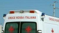 Punto da tre calabroni, rischia di morire nel bosco