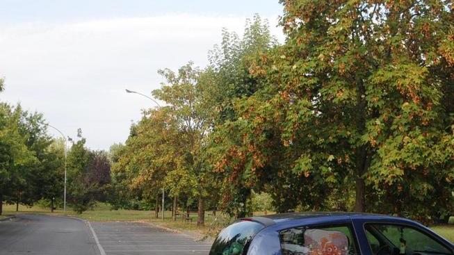 Beccati a rubare nel camper: in manette due ragazzi