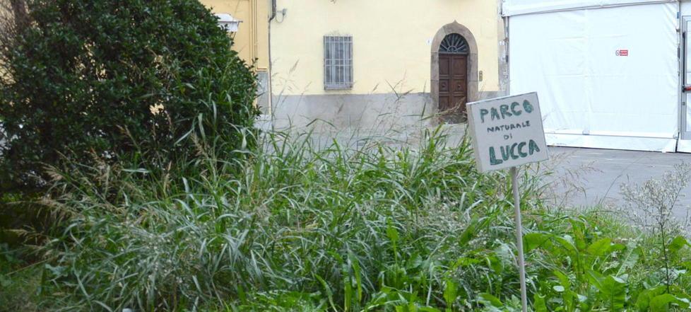 Erba alta davanti al Muf: la denuncia passa da un cartello ironico 