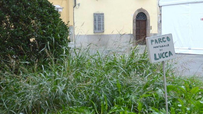 Erba alta davanti al Muf: la denuncia passa da un cartello ironico