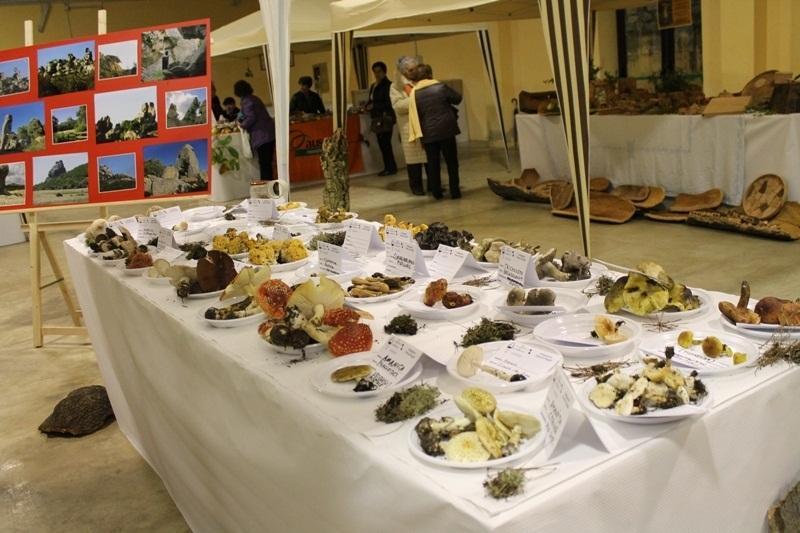 Una mostra micologica della Asl