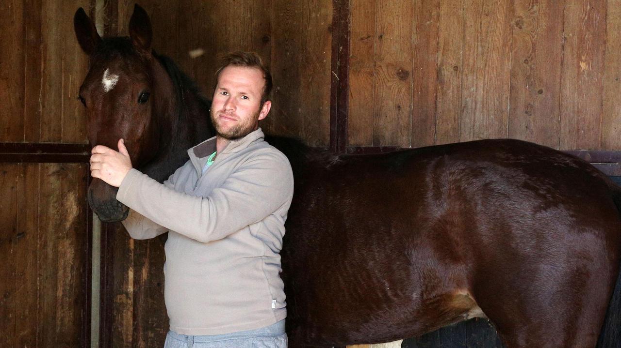 Il cavallo Ugly