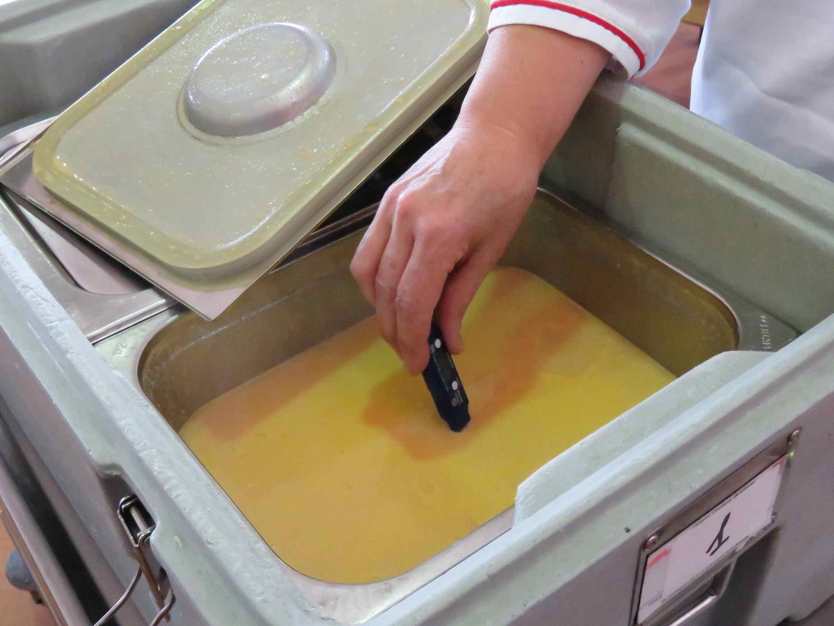 Malori per 20 bimbi della scuola elementare di Ramini 