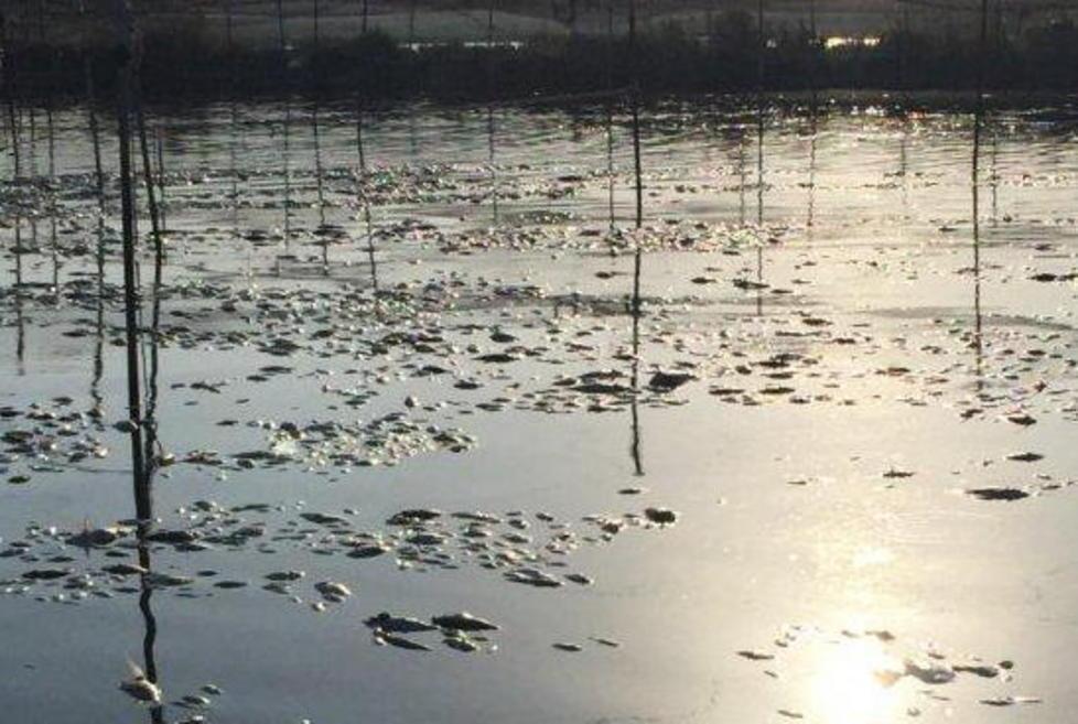 Ex Sitoco e laguna, incontro al ministero