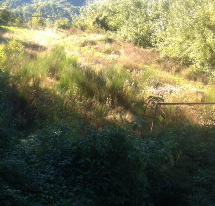 Sorana, si estende al torrente la zona con i rifiuti sotterrati 