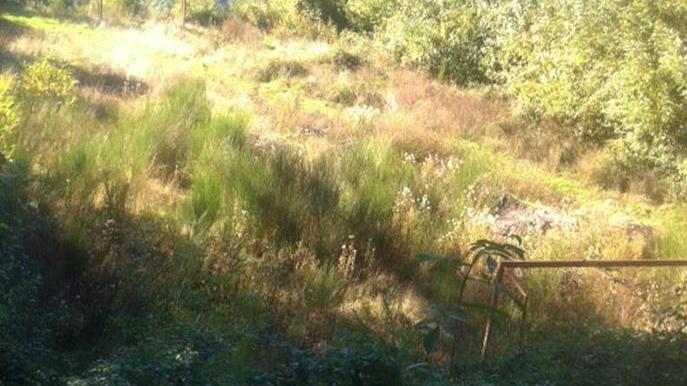 Sorana, si estende al torrente la zona con i rifiuti sotterrati