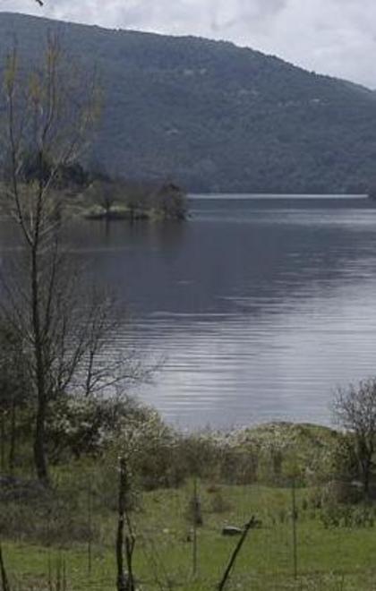 Il raduno dei cercatori di funghi 