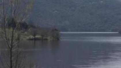 Il raduno dei cercatori di funghi