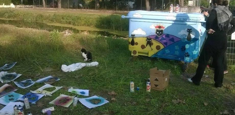 Da cassonetti a case per gatti 
