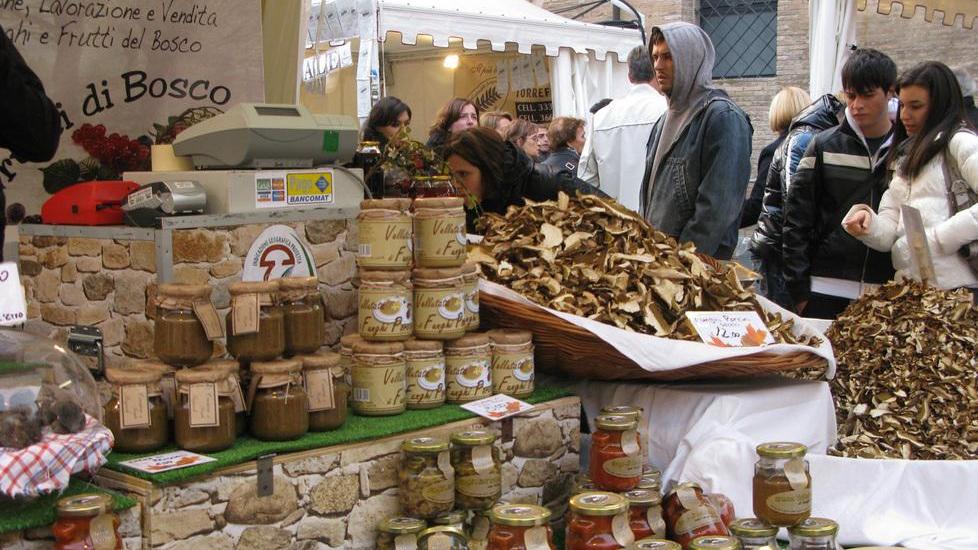 “Carpi a tavola” Sfilano le eccellenze enogastronomiche