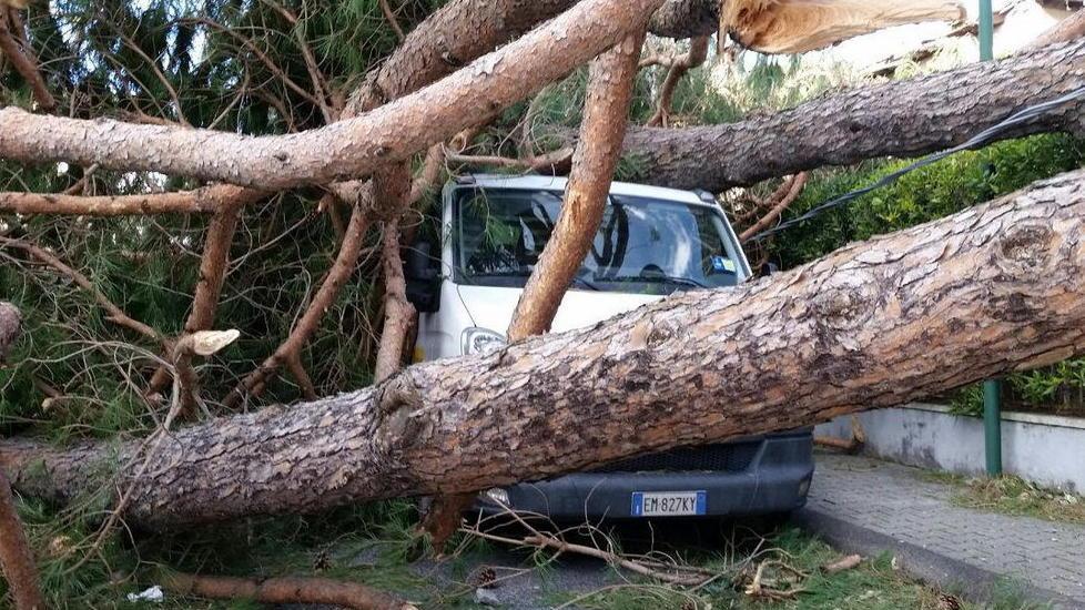 Pulizia per alveo e sponde di 42 fossi