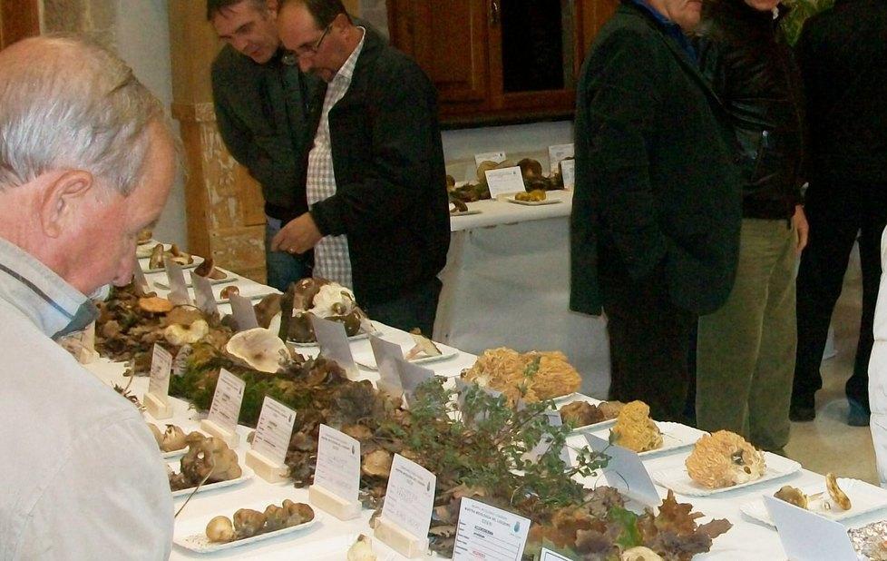 Una mostra micologica ricca di eventi 