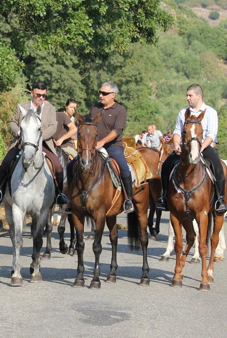 Oggi un incontro in limba sui cavalli e i cavalieri