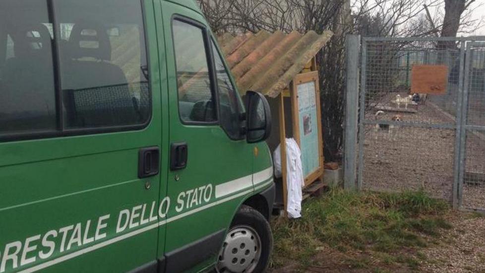 Anche la Forestale contro lo spaccio