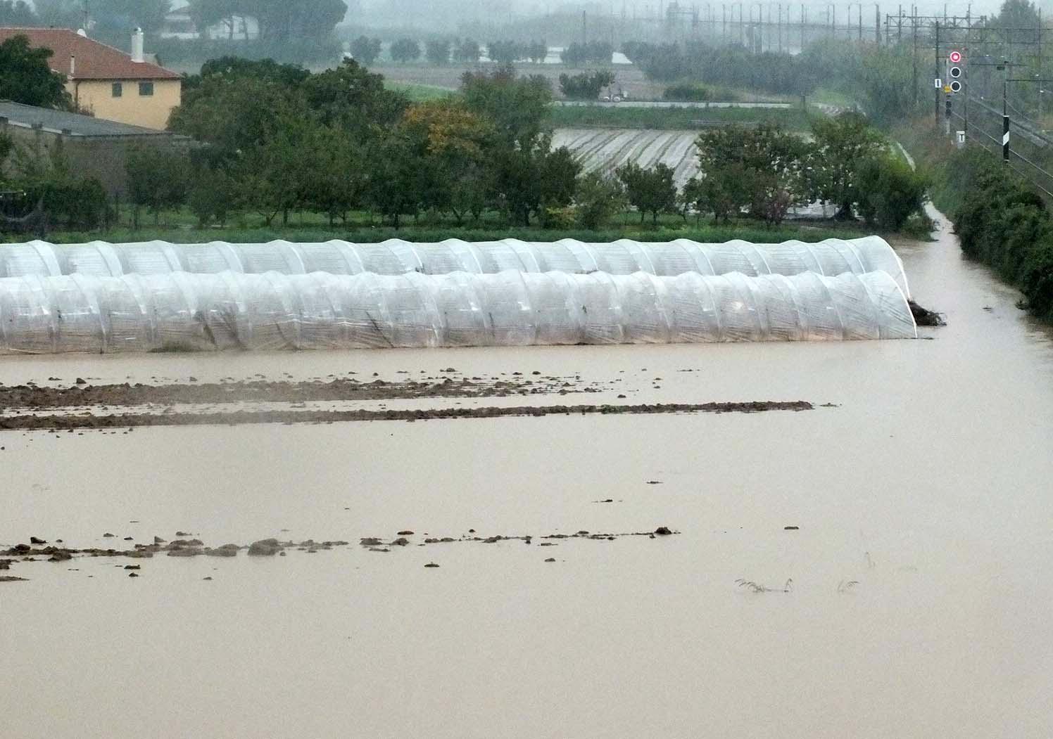 Serre e campi finiti sott'acqua alle Caldanelle (foto Paolo Barlettani)