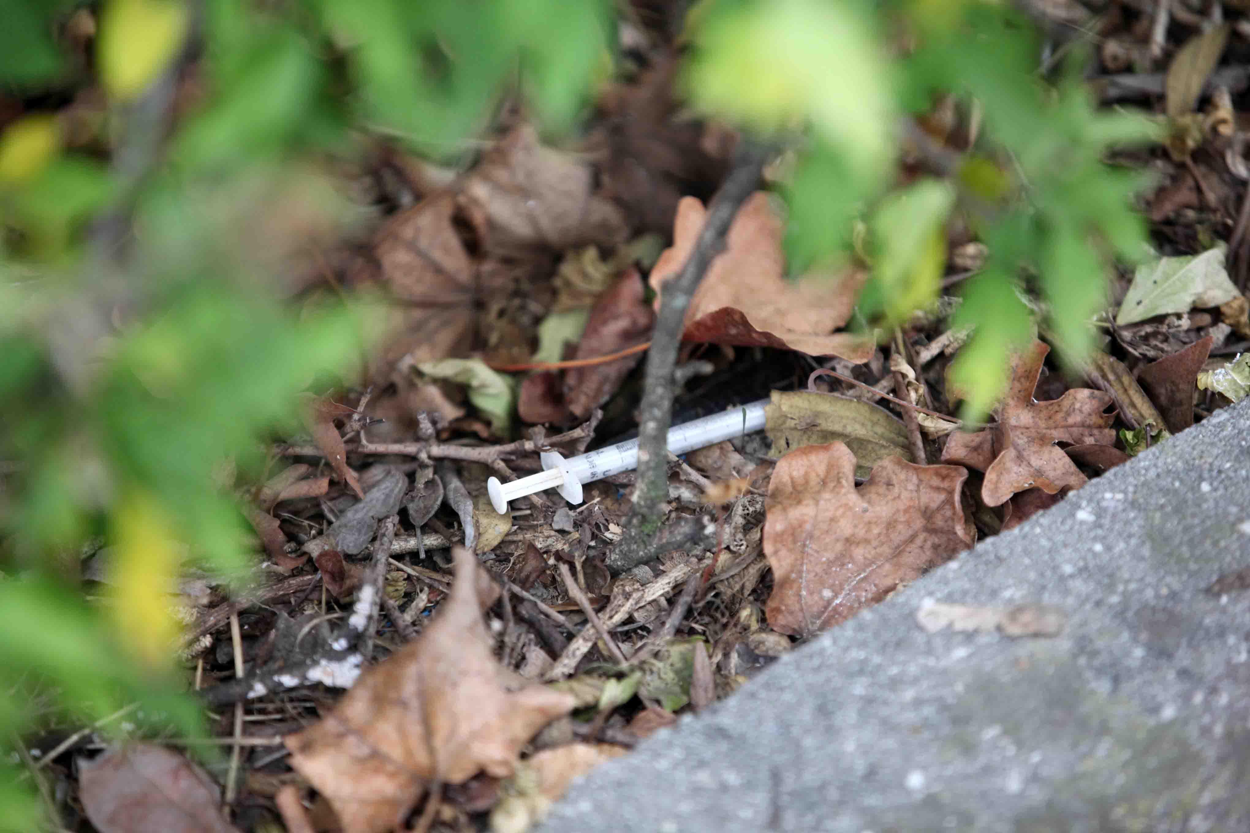 Siringhe nei parchi, a Reggio Emilia più di cento zone a rischio