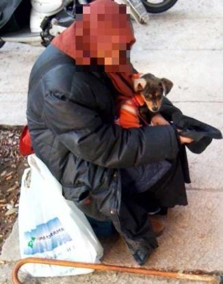 Lei gli presta il cane ma lui lo sfrutta per fare l’elemosina 