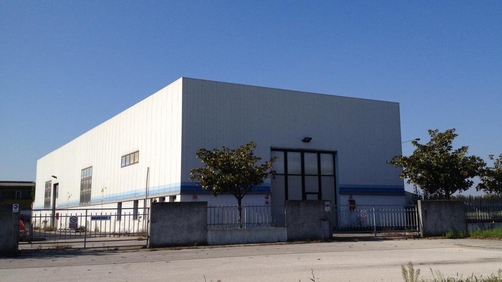 San Giovanni, colpo grosso dei ladri di ortaggi