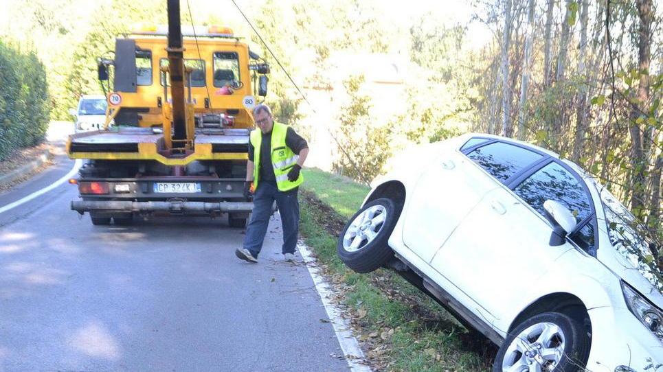 Auto nel fosso per evitare un cinghiale