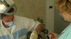 Assistente odontoiatrico, corso al via