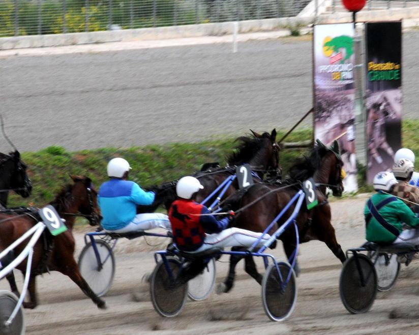 Trotto ai Pini con il premio Cesare Savarese