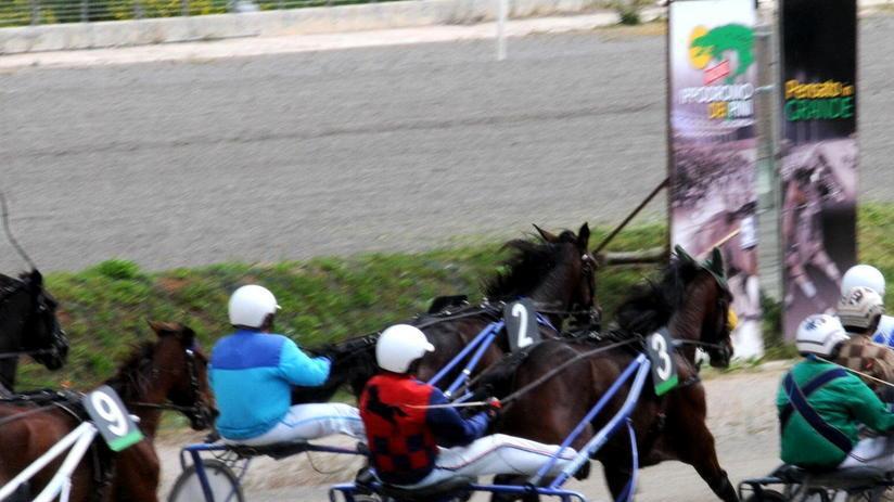 Trotto ai Pini con il premio Cesare Savarese