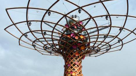 «Expo è una buona semina ma i turisti ce li porta MyFe»