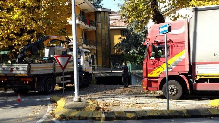 Camion troppo alto: centra il ramo di un tiglio