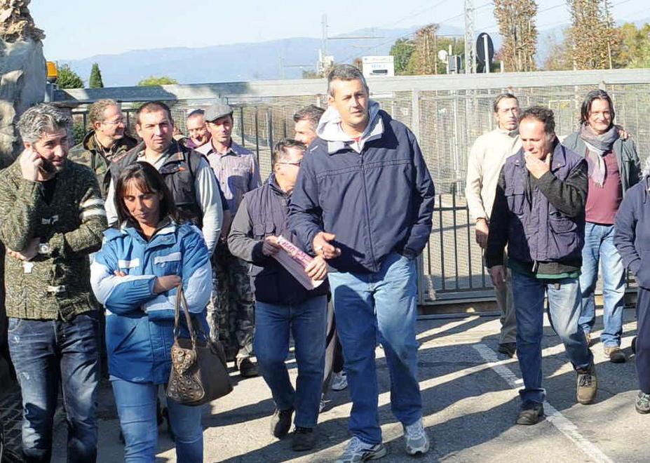 Verso la liquidazione i beni dei Vivai Tesi Ubaldo 