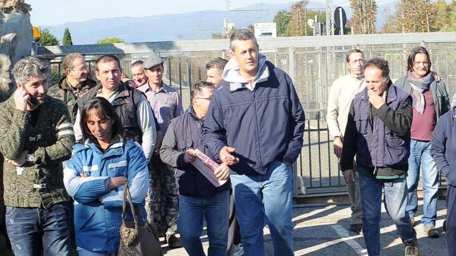 Verso la liquidazione i beni dei Vivai Tesi Ubaldo