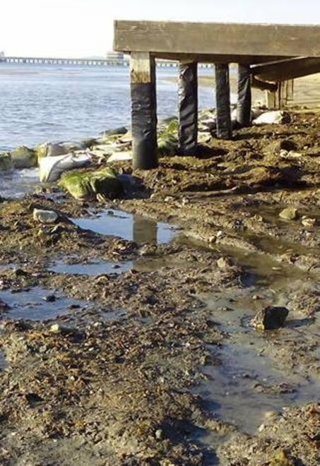 Erosione: «Lavori condivisi anche con Piombino»