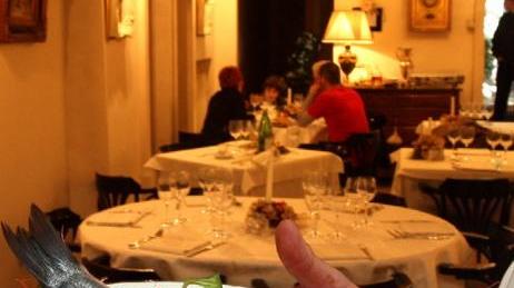 Contro lo spreco a tavola va di moda la doggy bag