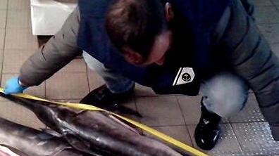 Il pesce era irregolare, multati tre ristoranti