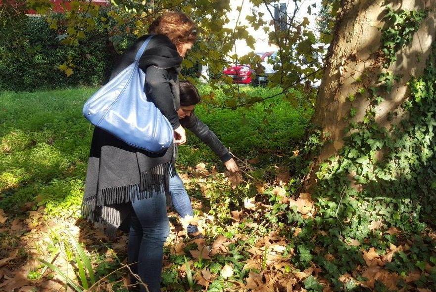 Nuovi controlli sul verde pubblico 