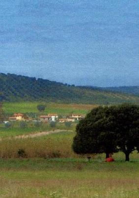 Guerra del biogas Sacra tenta la carta dell’ultimo ricorso 