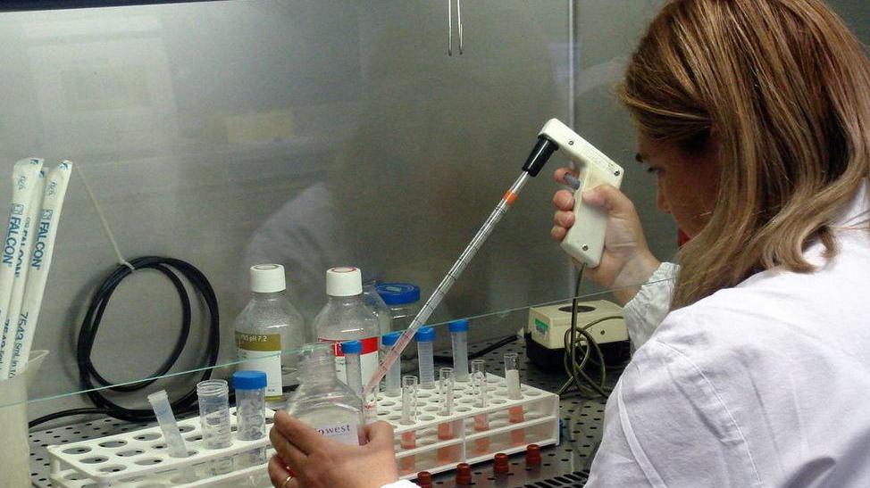 Airc, studenti a lezione di ricerca sul cancro
