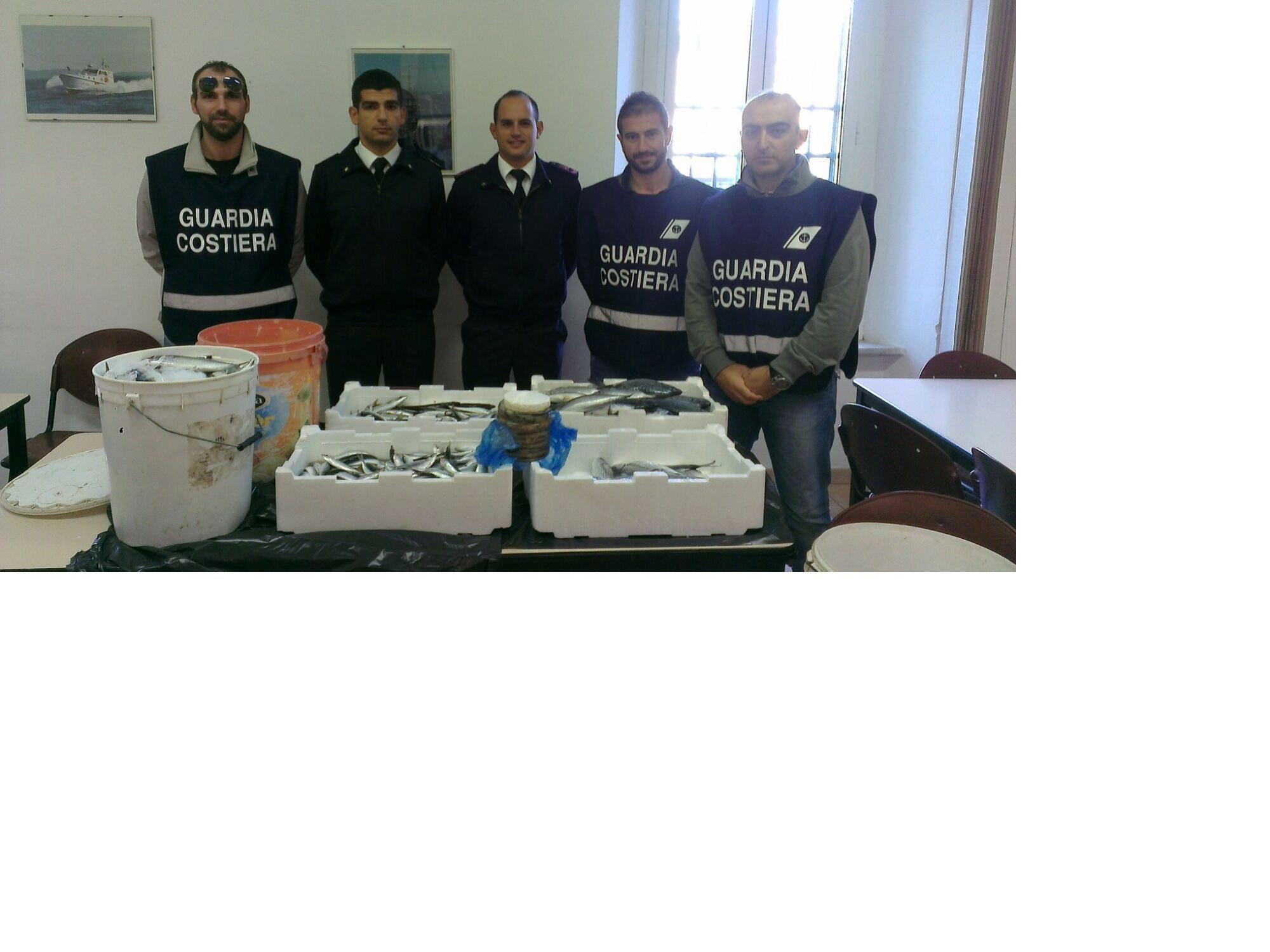 Il pescato sequestrato dagli uomini della Capitaneria di porto