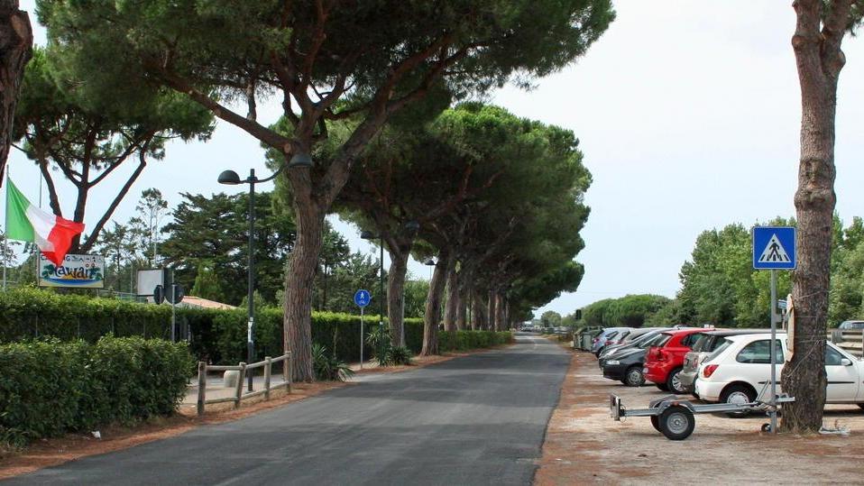 «La strada dei campeggi tornerà come nuova»