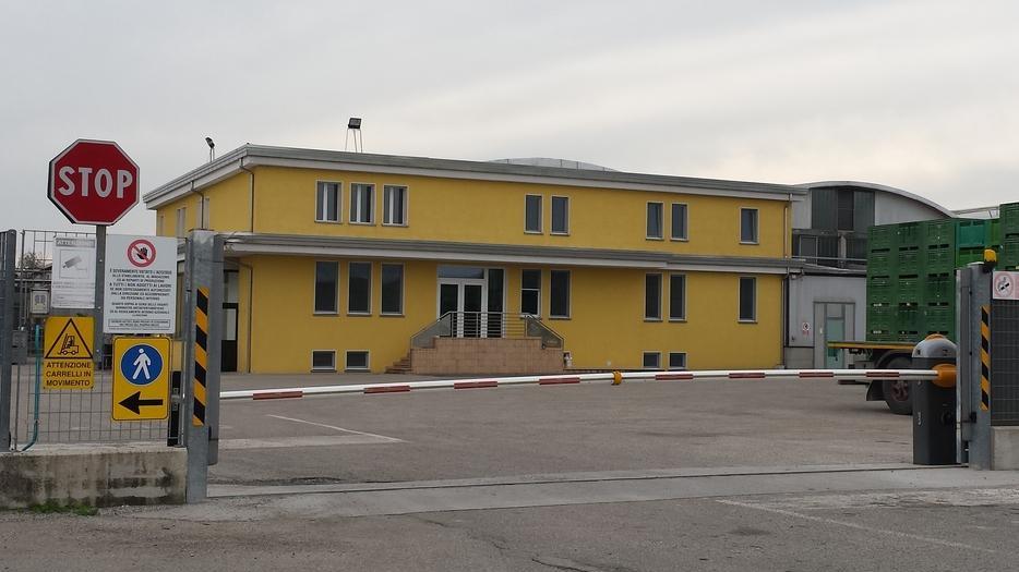 Operaio cade dal ponteggio, lo salva il collega