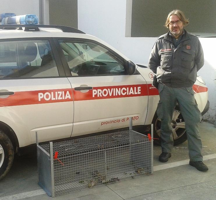 Un agente della Polizia provinciale mostra la trappola