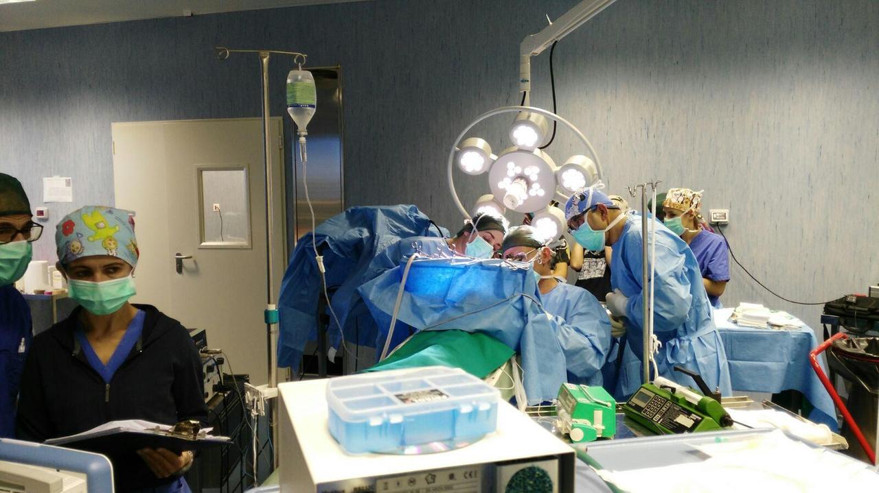 L'intervento chirurgico nella sala operatoria veterinaria