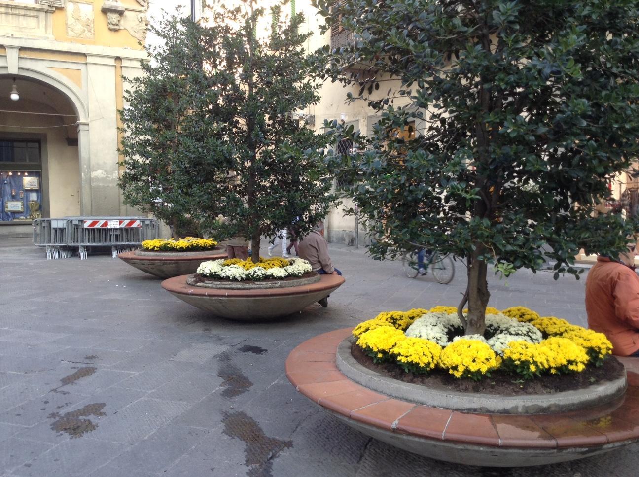 Le fioriere coi colori dello Stato pontificio in piazza del Comune (foto Batavia)