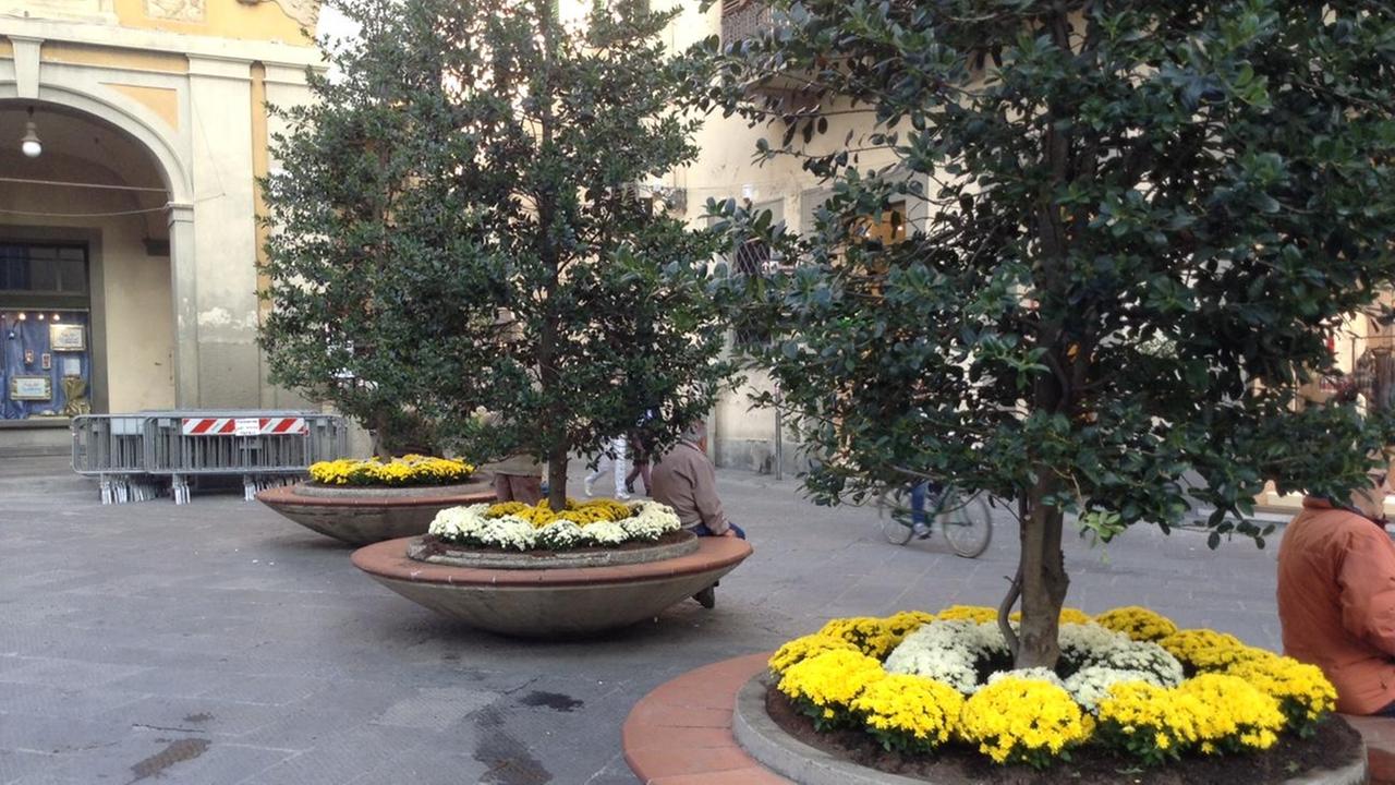 Le fioriere coi colori dello Stato pontificio in piazza del Comune (foto Batavia)