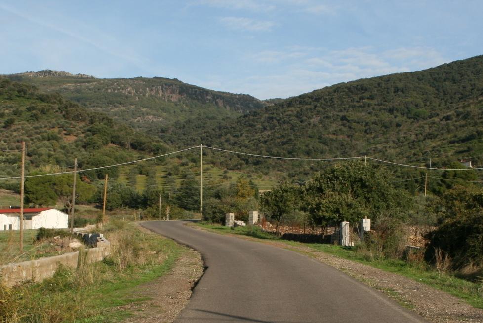 “Strada della cava” in abbandono da anni