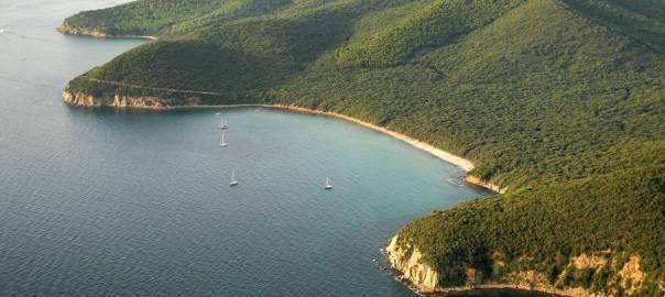 I boschi delle Bandite a picco sul mare di Cala Violina