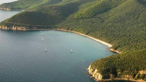 I boschi delle Bandite a picco sul mare di Cala Violina