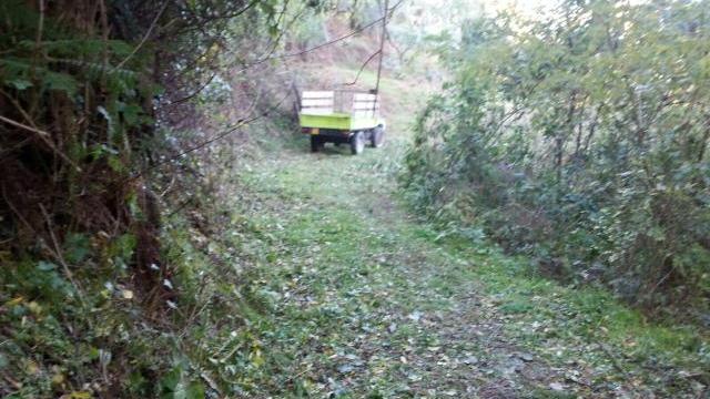 (Nella foto il luogo in cui è avvenuta la sparatoria)