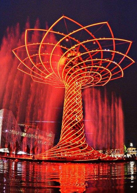 Angeli (Fi) chiede le spese di partecipazione all’Expo