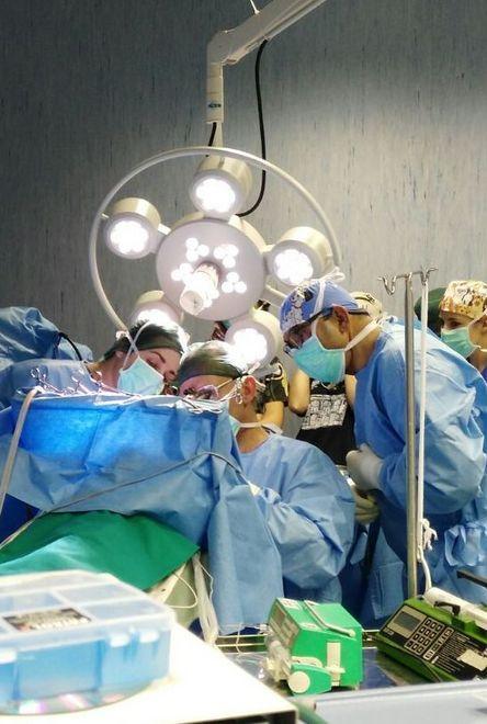 Sassari, super intervento chirurgico salva il gatto Klaus 