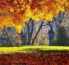 Anticiclone a novembre: è l’estate di San Martino 